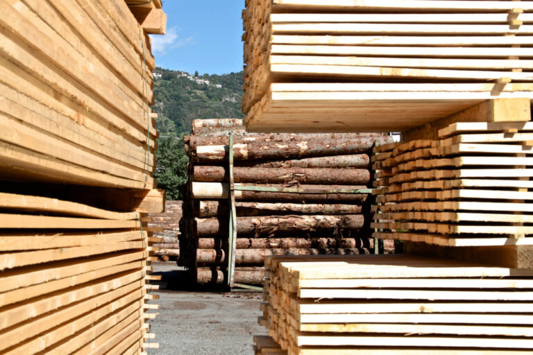 attività di segheria e prima lavorazione legno in provincia di Sondrio